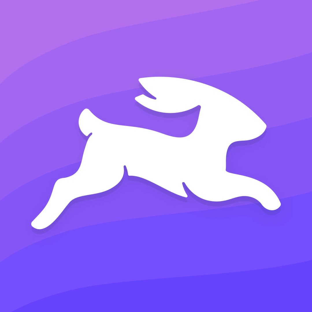 Directus logo