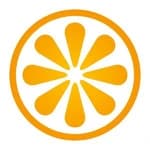 VisitBasis logo